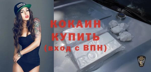 дживик Абинск