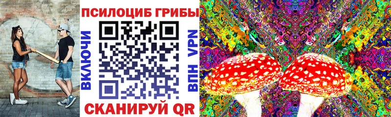Галлюциногенные грибы Magic Shrooms  Елизаветинская 